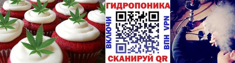 Cannafood конопля  МЕГА ТОР  Луза 