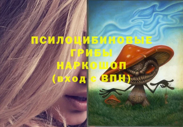 Альфа ПВП Верея