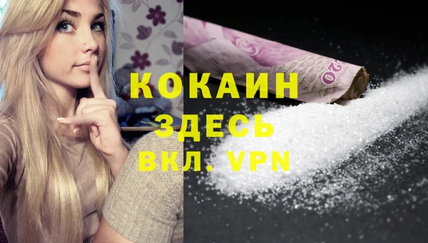 Альфа ПВП Верея