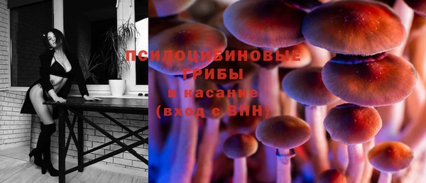 Альфа ПВП Верея